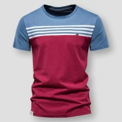 Diarmuid Store Saint Morris Striped Cotton Shirt Men's Apparels