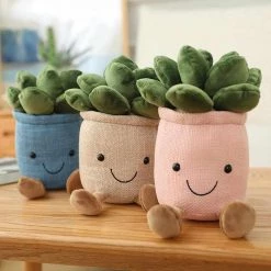 TotoJay Funny Life Store Home Sky Madrid Plush Smiley Succulent