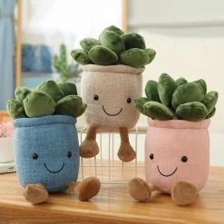 TotoJay Funny Life Store Home Sky Madrid Plush Smiley Succulent