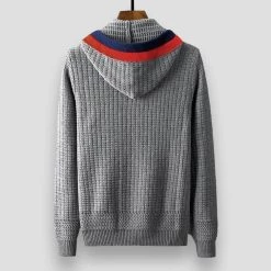 Minglu Official Store Men's Apparels Sky Madrid Striped Hooded Zip-Up Cardigan